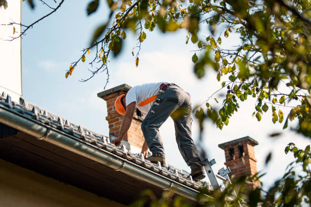 Best Metal Roofing Contractor  in Veneta, OR